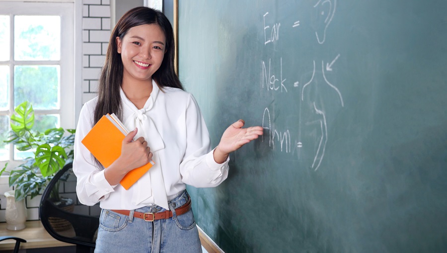 beautiful teacher in the board